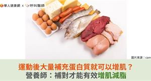 運動後大量補充蛋白質就可以增肌？營養師：補對才能有效增肌減脂