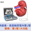 持續血尿與痠痛，竟是輸尿管內雙J管卡滿石頭！醫揭：雙J管3大功能