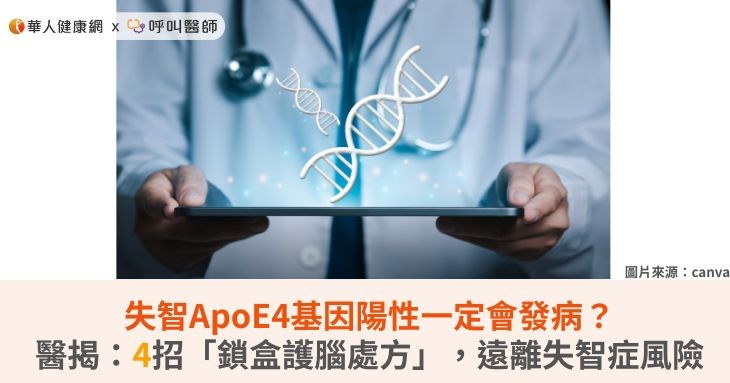 失智ApoE4基因陽性一定會發病?醫揭:4招「鎖盒護腦處方」,遠離失智症風險