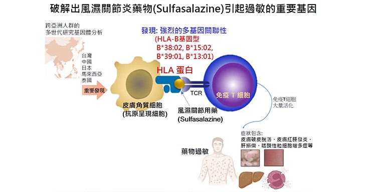 長庚醫院皮膚科團隊破解風濕關節炎藥物引起過敏的重要基因。(圖片提供/長庚醫院)