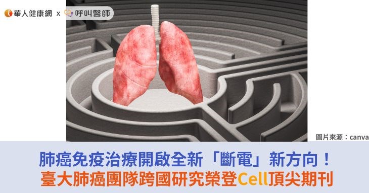 肺癌免疫治療開啟全新「斷電」新方向!臺大肺癌團隊跨國研究榮登Cell頂尖期刊