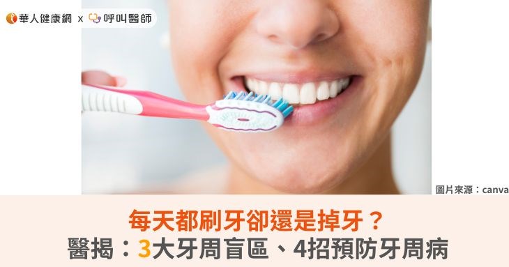 每天都刷牙卻還是掉牙?醫揭:3大牙周盲區、4招預防牙周病