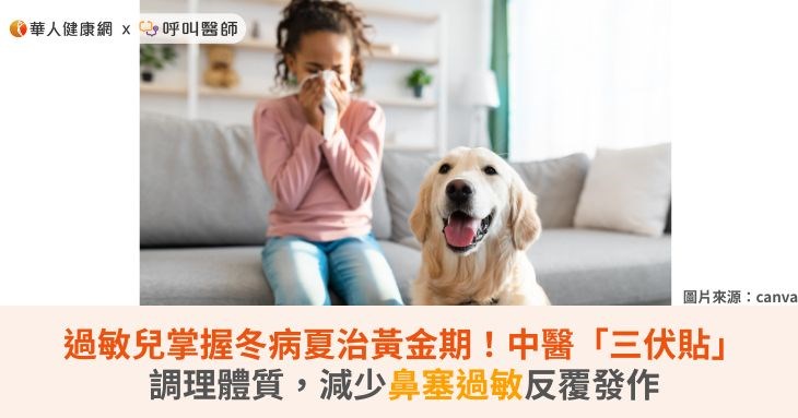 過敏兒掌握冬病夏治黃金期!中醫「三伏貼」調理體質,減少鼻塞過敏反覆發作