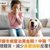 過敏兒掌握冬病夏治黃金期！中醫「三伏貼」調理體質，減少鼻塞過敏反覆發作