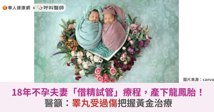 (圖僅為示意)