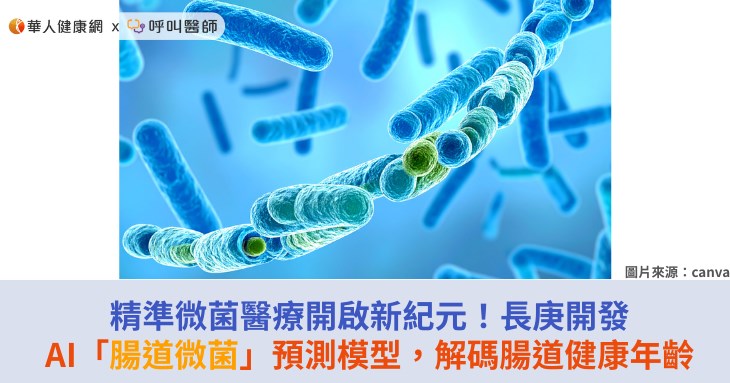 精準微菌醫療開啟新紀元!長庚開發AI「腸道微菌」預測模型,解碼腸道健康年齡